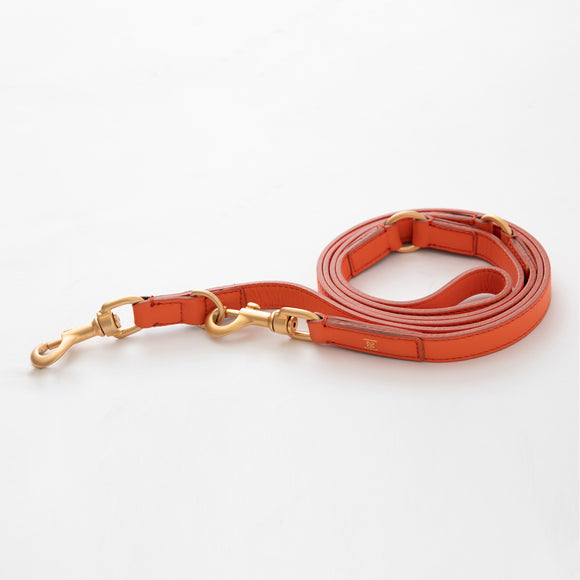 Mario Training Leash