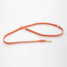 Mario Training Leash