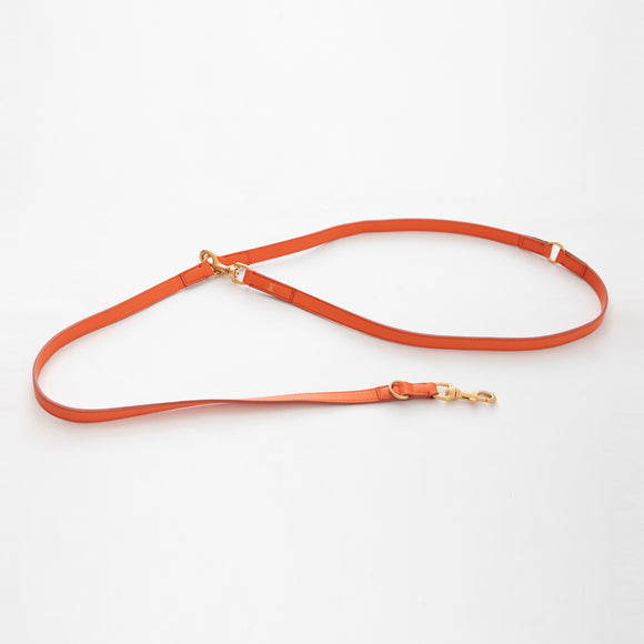 Mario Training Leash