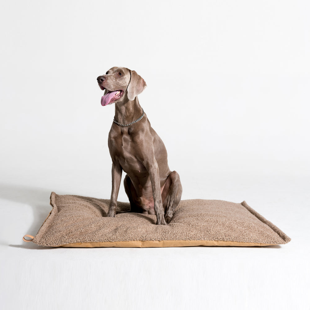 Richard Slim Wool Dog Cushion