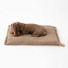 Richard Slim Wool Dog Cushion