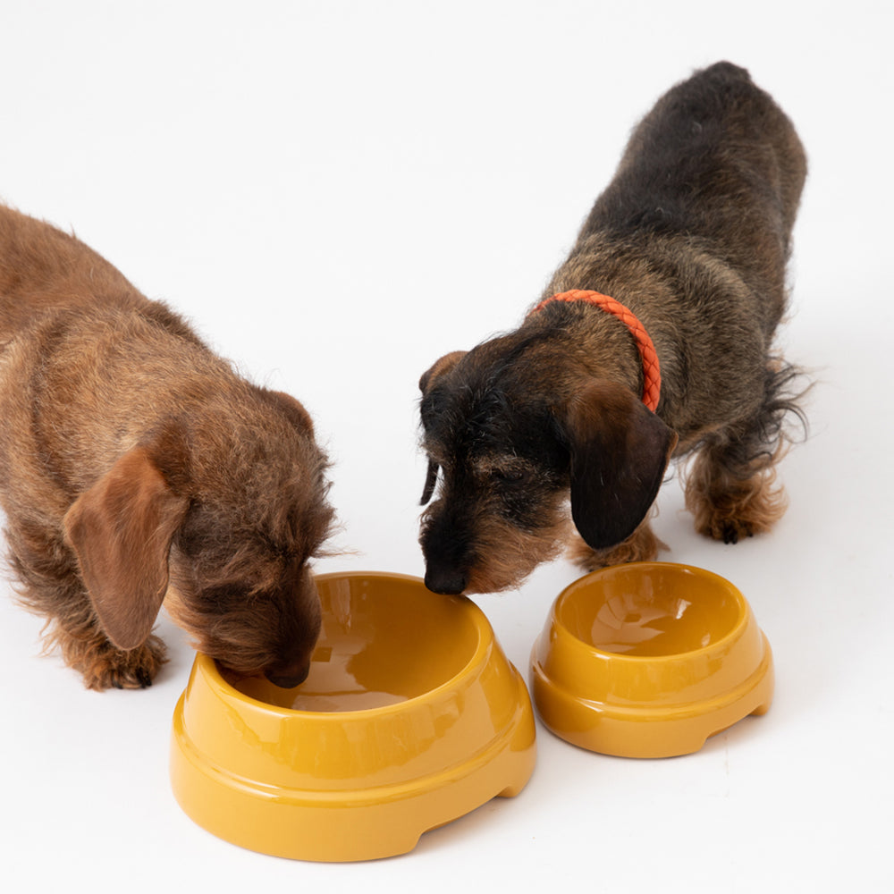 Sebastiao Dog Bowl
