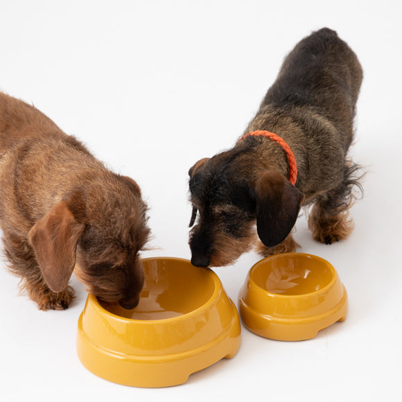 Sebastiao Dog Bowl
