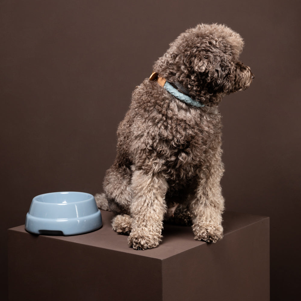Sebastiao Dog Bowl