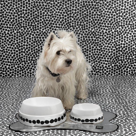 Sebastiao Dotto Dog Bowl