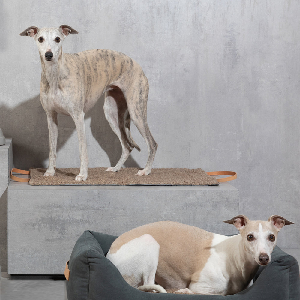 Steve Recycled Wool Dog Travel Mat