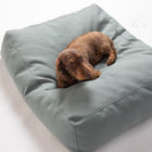 Yousuf Dog Cushion