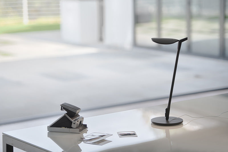 Splitty Desk Lamp
