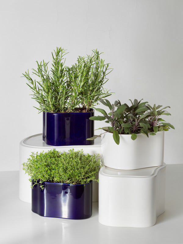 Riihitie Plant Pot Shape A