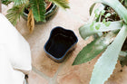 Riihitie Plant Pot Shape B