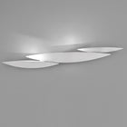 I Lucci Argentati LED Wall Sconce