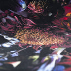Fool's Paradise Round Rug