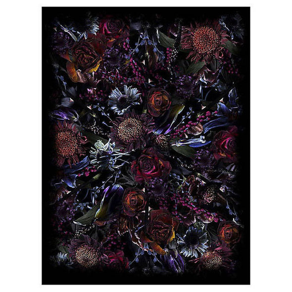 Fool's Paradise Rug