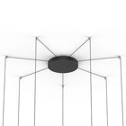 Bola Disc Multi-Light Canopy