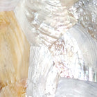 Kabebe Shell Linear Pendant Light