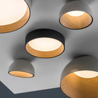 Duo Flush Mount