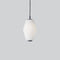 Dahl Pendant Light  option Dark Gray