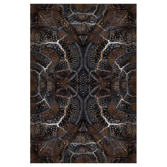 Blooming Seadragon Rug