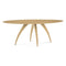 Ella Ellipse Dining Table  option Natural