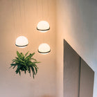 Palma LED Pendant Light