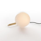 NH1217 Table Lamp