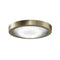 Spitfire LED Light Kit  option Brushed Satin Brass
