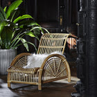 Paris Chair