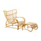Teddy Lounge Chair  option Teddy Ottoman