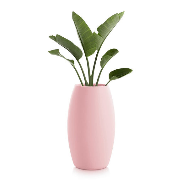 Gobi Planter 2
