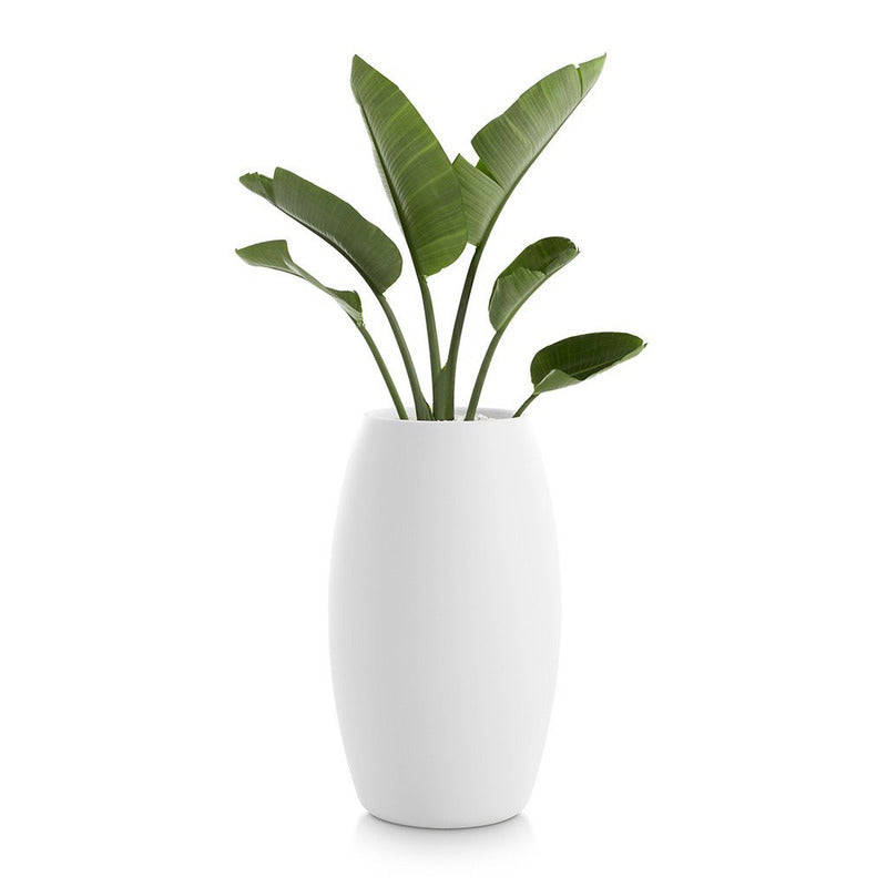 Gobi Planter 2