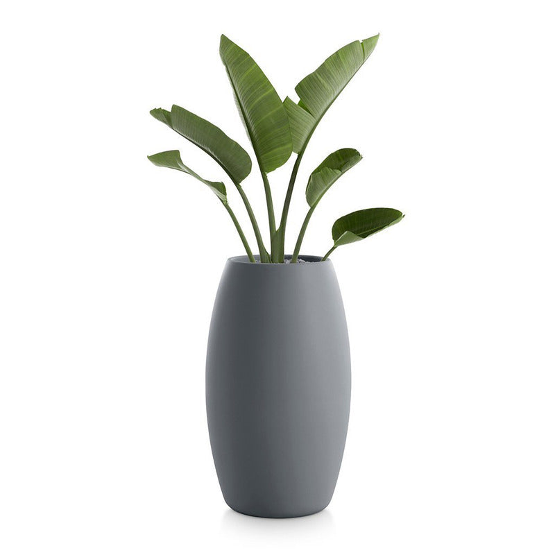 Gobi Planter 2
