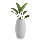 Gobi Planter 2