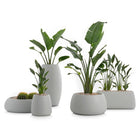 Gobi Planter 2