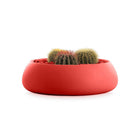 Gobi Planter 4