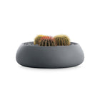 Gobi Planter 4