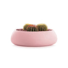 Gobi Planter 4