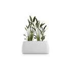 Gobi Planter 5