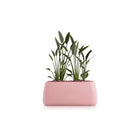 Gobi Planter 5