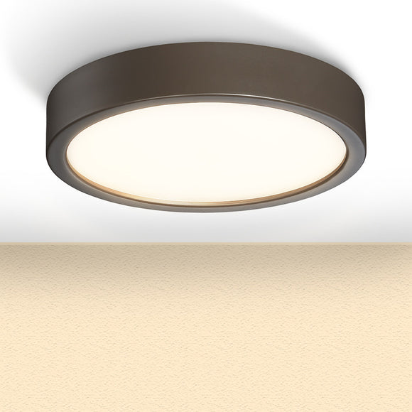 LED Flush Mount