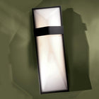Wedge Outdoor Wall Sconce