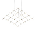 Constellation Aquarius Medius Pendant Light