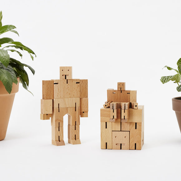 Medium Cubebot Set of 2