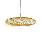 Spring LED Pendant Light