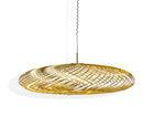 Spring LED Pendant Light