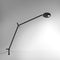 Demetra Professional LED Table Lamp  option Desk Support