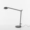 Demetra Professional LED Table Lamp  option Table Base