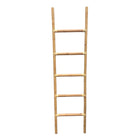 Climb Ladder