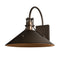 Henry Outdoor Wall Sconce  option Coastal Bronze