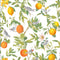 Amalfi Wallpaper  option White
