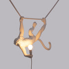 Monkey Swing Lamp